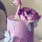 424706633_1889764974790857_645505754430960043_n