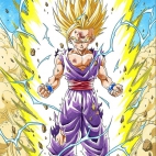 425767778_271167882662083_7447798497199520630_n