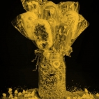 426274523_18302078485149783_8948445515627860593_n1