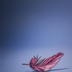 426448500_391805533552323_920553429838556129_n