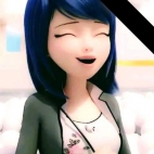 426459106_122250231776000348_3959332118819847115_n