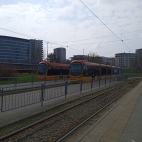 427124756_360004016837697_6873447069126413359_n