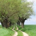 427765789_369326665967673_1136319289571653494_n