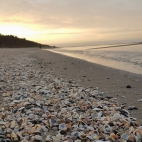 427816629_992512482267984_7770558823291330789_n