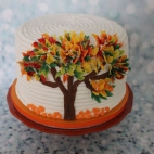 427968483_2700919810059144_7600880824137146837_n