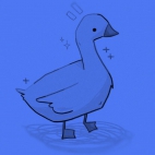 428169002_3761113917542916_1663894090880202295_n (1)1