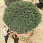 428293717_702390842066040_4456682237144259204_n