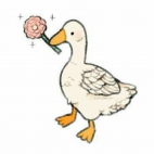 428321566_122104586186210620_2114254494355333293_n