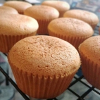 428643809_295327440229294_8870419057583563114_n