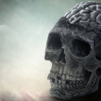 d38d32c034baf8af9b540889887658d7_900