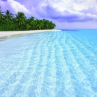 426531678_417299137363043_4528804872192181713_n