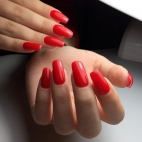 421973461_122133701678056182_3326115373106229878_n