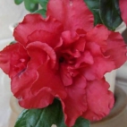 1501794_649243675122547_1200338460_n