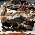 425254567_122128875500161457_6249596002777623558_n