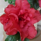 1501794_649243675122547_1200338460_n