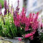 307847181_488755543125265_8618425415540811634_n