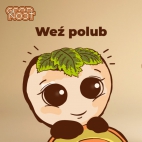 370051003_23857179591810143_3441561068297699059_n