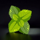 392958825_288998817375033_1826886401180344286_n