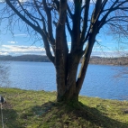 408996886_937518774533938_577326990284603483_n