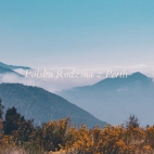 416302847_122105432786170680_473150391121832443_n