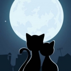 417424898_1855198864951252_1537550772810652753_n