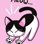 417491625_1856373758167096_4927608400147400160_n