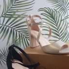 423326169_223019607560350_3516405805353467626_n