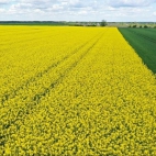 424599992_122094457148224447_5577161140531745123_n