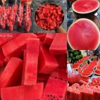 425285251_380322241443507_1153752160310824249_n