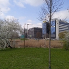 427876702_359945213510244_3986027943232085555_n