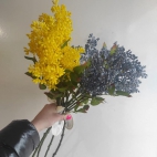 428502558_122159894990026753_517609172261777286_n