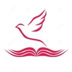 428653198_7129934220438216_5879129438176980845_n