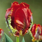 429658288_122095211408231079_7125082002039883426_n