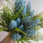 429783800_122159896514026753_3699261400343252535_n