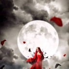 430016840_380826418036715_1398819480708876172_n (1)