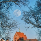 430211154_122123841848192724_1351709016330016937_n