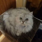 430471136_122101329254227788_276591012338369242_n