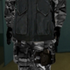 swat_3