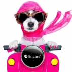 60345056_819465281759146_3172332981641543680_n