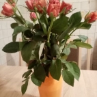 89469890_2294048407561807_1834203699728089088_n