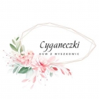 347260879_217769157874742_5516514483728882971_n