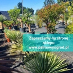 354017934_117511711369740_7614804371556171862_n