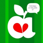 355333039_231570006376758_8920153321387685598_n