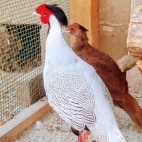 366714222_257118360553401_3709150638575895243_n