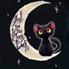 417706805_1859322537872218_3892108722117873970_n