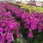 417776517_122127173054087784_2491883218361369149_n