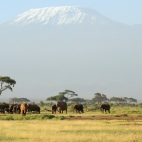 424613760_122114680058183161_6006760123428264226_n