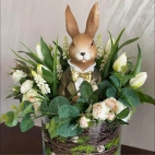 424621317_122123360024110000_1741235143102818380_n