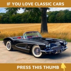 424953513_120207050473700392_3299644822322781110_n