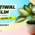 425004318_785945366885657_7113144667120350550_n